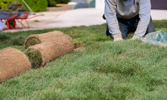 Man laying rolls of grass lawn. Landscaping concept