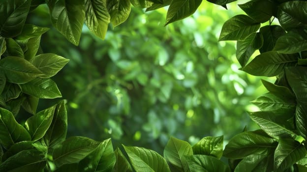 Close-up view of lush green leaves forming a natural frame, vibrant foliage background, nature concept.