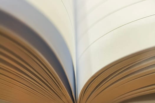 A close-up of notebook pages forming a soft, wavy pattern. A useful image for themes of education, knowledge, and simplicity.