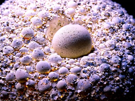 Stone isolated on transparent background. Oolite A piece of oolite composed of tiny rounded ooids floating and softly lit to.