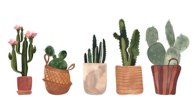 Set of cacti. House plants in baskets and pots. Plant growing as a hobby. Isolated watercolor illustration on white background. Clipart.