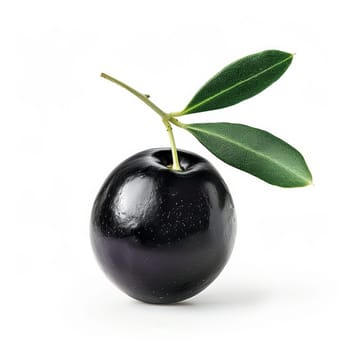 A black olive with a single green leaf attached rests on a clean white background