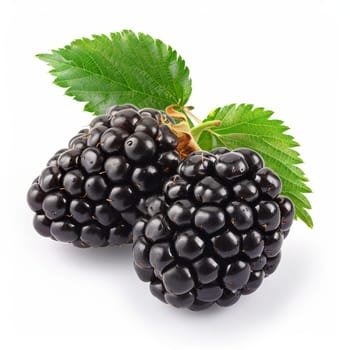 Two ripe blackberries with green leaves are isolated on a white background