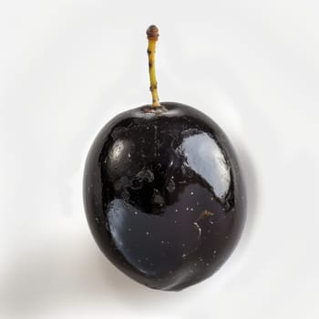 A ripe, glossy black olive with water droplets, isolated on a white background
