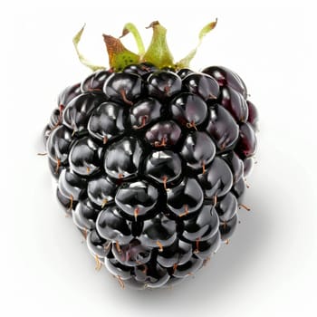 A close-up of a single, ripe blackberry on a white background. The blackberry is a dark, glossy black color and has a few small bumps on its surface