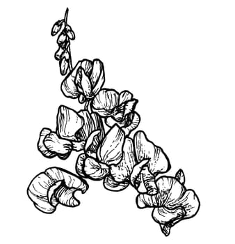 Spring flowers drawing with line-art on white