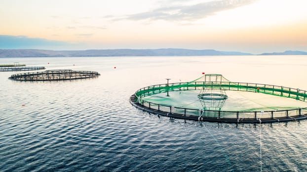 Fish farm in serene waters at sunset with multiple floating enclosures.