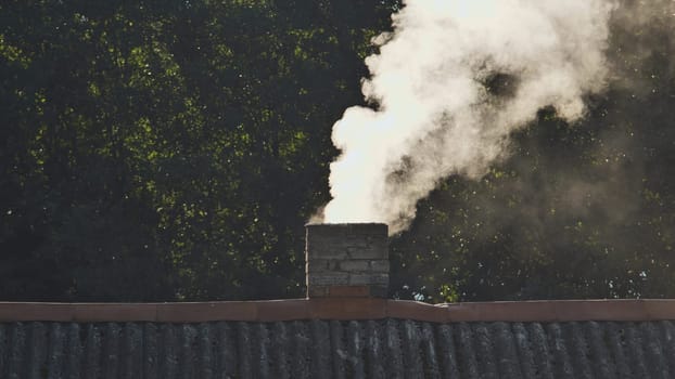 White smoke from the chimney of the village house