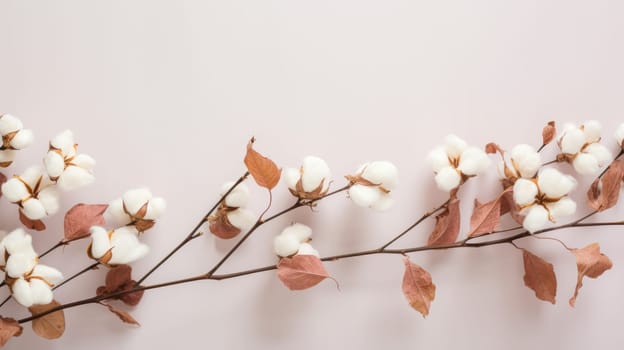 Cotton Branch with Lush Foliage on a Clean White Background.