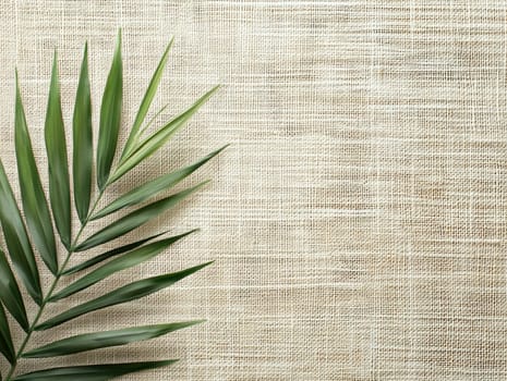 Sukkot celebration background with palm leaf and copy space for holiday design.