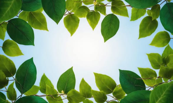 A low-angle view of green leaves framing a clear, bright blue sky. The sun shines through the leaves, creating a bright, natural light.