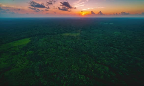 A breathtaking aerial photograph capturing the vast expanse of a forest at sunset. The setting sun, partially obscured by clouds, bathes the dense green foliage in a warm, golden light