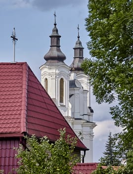 Amidst lush greenery, majestic white church towers stand tall above charming red rooftops, showcasing the peaceful village during daytime.
