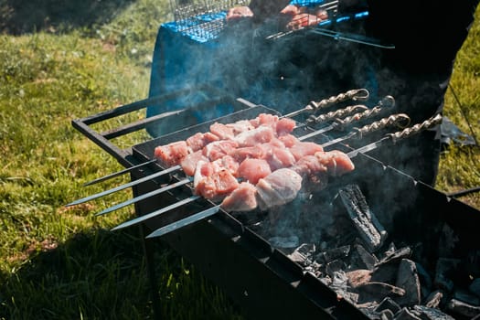 juicy pork meat on skewers is grilled on the grill. cooking on fire. rest. vacation.