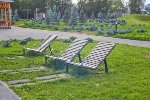 Wooden sun beds - benches in the city park. A green lawn and blue fir trees.