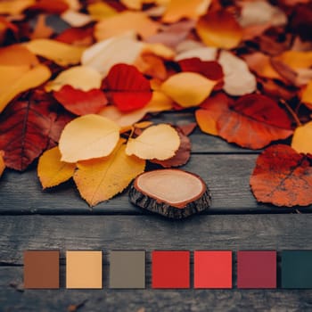 A branch adorned with colorful autumn leaves displays shades of orange, yellow, and red, capturing the essence of fall in a serene natural environment.