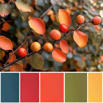 A branch adorned with colorful autumn leaves displays shades of orange, yellow, and red, capturing the essence of fall in a serene natural environment.