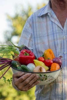 farmer holding a bowl of vegetables in the garden. Selective focus.