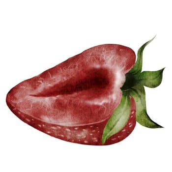 Strawberry illustration watercolor. Hand drawn watercolor drawing of juicy red berry. Realistic style strawberry illustration on isolated white background. Ideal for natural cosmetics logo and food packaging. High quality illustration