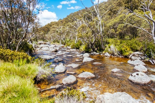 Trails around Thredbo Riover and Thredbo Golf Course in Thredo in the Snowy Mountains, New South Wales, Australia