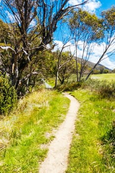 Trails around Thredbo Riover and Thredbo Golf Course in Thredo in the Snowy Mountains, New South Wales, Australia