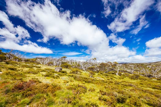 Landscape views along the Porcupine Walking Track on a summer's day in Kosciuszko National Park, Snowy Mountains, New South Wales, Australia