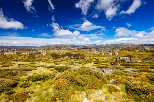 Landscape views along the Porcupine Walking Track on a summer's day in Kosciuszko National Park, Snowy Mountains, New South Wales, Australia