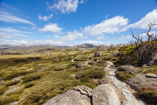 Landscape views along the Porcupine Walking Track on a summer's day in Kosciuszko National Park, Snowy Mountains, New South Wales, Australia