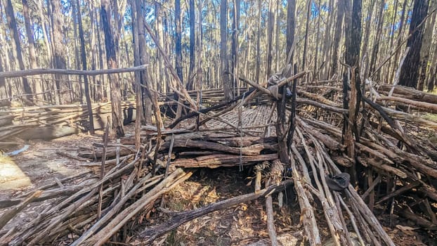 A bush camp setup in Wombat State Forest near Macedon, Victoria, Australia