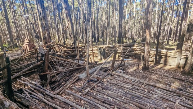 A bush camp setup in Wombat State Forest near Macedon, Victoria, Australia