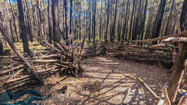 A bush camp setup in Wombat State Forest near Macedon, Victoria, Australia