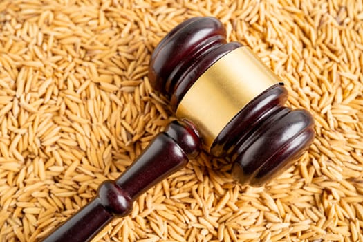 Judge gavel hammer with good grain rice from agriculture farm. Law and justice court concept.