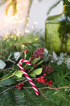 Green background of living leaves and branches, red Christmas candy. New Year's composition, a ready-made opening. New Year and Christmas celebration concept