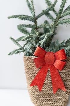 Nobilis branches are in a wicker basket along with a large red bow on the border. New Year and Christmas concept