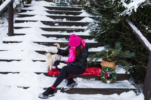 A woman holds and strokes a white fluffy cat near a Christmas tree. A pet enjoys affection and attention. New Year's magical atmosphere of coziness, love and warmth