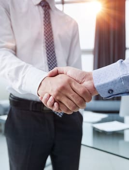 Good deal. Close-up of two business people shaking hands