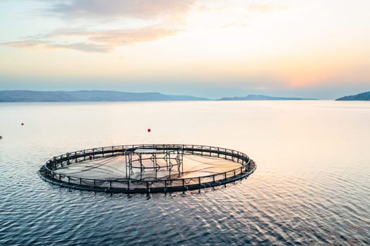 Fish farm at sunset on tranquil water, showcasing aquaculture practices and natural beauty.