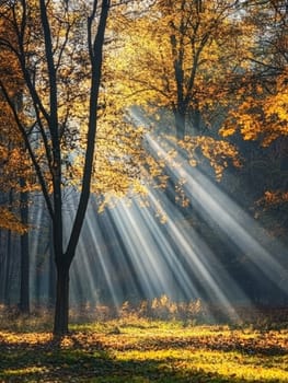 Magical sunlight pierces through golden autumn foliage, creating dramatic rays and illuminating the forest floor with a warm glow.