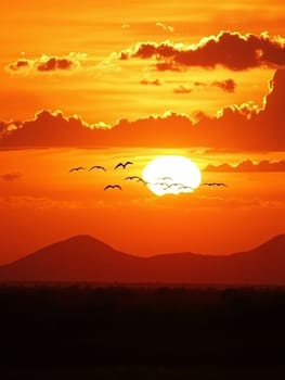 Spectacular orange sunset over silhouetted mountains with a flock of birds flying across the glowing sun, creating a dramatic and serene landscape.