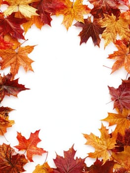 A circular arrangement features various orange and yellow autumn leaves intertwined with bright red berries, creating a festive fall decoration perfect for seasonal displays.