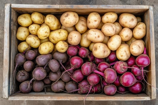 The image shows wooden crates filled with freshly harvested yellow potatoes and deep red beets, showcasing seasonal produce in a rustic setting, emphasizing the bounty of autumn.