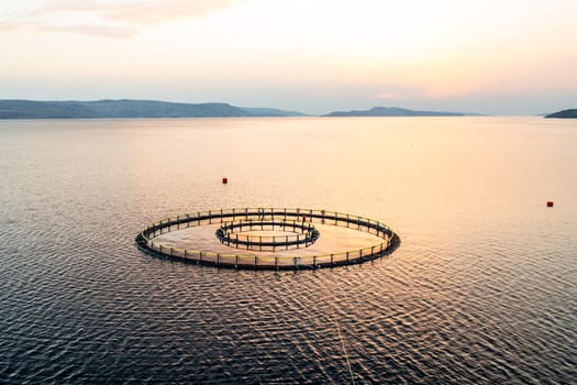 Fish farm at sunset with circular nets in tranquil waters, showcasing aquaculture techniques.