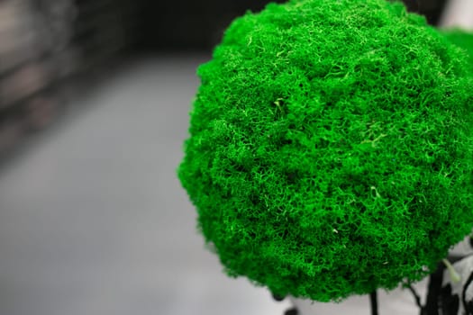 A large green ball of moss. An ornamental plant. Flowers in the interior.