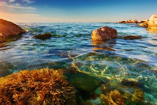 Crystal Clear Paradise.A breathtaking coastal scene featuring smooth, moss-covered rocks emerging from crystal-clear turquoise water. Lush greenery lines the hillside, creating a picturesque backdrop. Sunlight filters through the water, highlighting the vibrant marine life below.