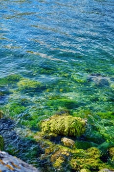 Crystal Clear Paradise.A breathtaking coastal scene featuring smooth, moss-covered rocks emerging from crystal-clear turquoise water. Lush greenery lines the hillside, creating a picturesque backdrop. Sunlight filters through the water, highlighting the vibrant marine life below.