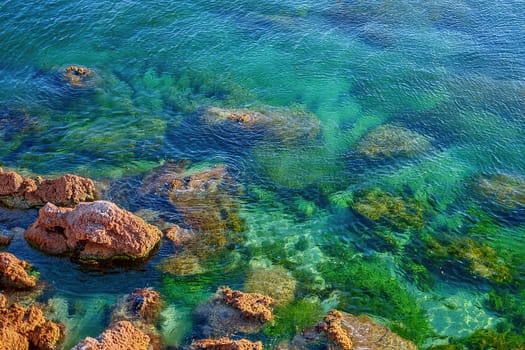 Crystal Clear Paradise.A breathtaking coastal scene featuring smooth, moss-covered rocks emerging from crystal-clear turquoise water. Lush greenery lines the hillside, creating a picturesque backdrop. Sunlight filters through the water, highlighting the vibrant marine life below.