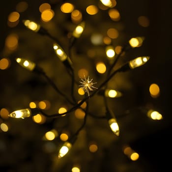 Soft yellow lights illuminate the scene, creating a cozy and inviting atmosphere. The twinkling lights are spread across a tree, enhancing the festive spirit of the holiday season.