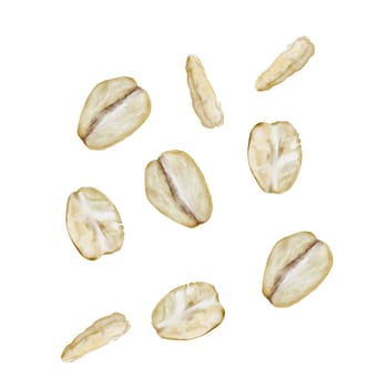 Oat flakes watercolor. Hand drawn oats on isolated white background. Clip art realistic morning breakfast. Ideal for oatmeal packaging and logo. High quality illustration