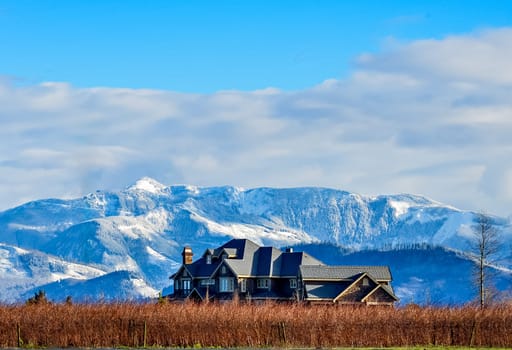 A berry farm with mountain view on winter season in the Fraser valley, British Columbia, Canada.