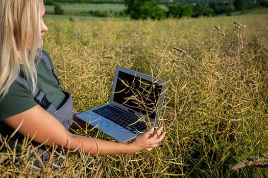 A woman farmer is checking the information about rapeseed using a laptop. She is gently touching the rapeseed and checking if everything is fine with her harvest. She is checking the information about her harvest and what are the prices of rapeseed purchase. Farmer owns a rapeseed field and is checking this year's crop. She has blonde hair and she stands in profile. Her hair covers her face. The soil is fertile and productive. The rapeseed is yellow and ready for harvest. Satisfied with the bountiful and lavish harvest, the woman farmer, adorned in working clothes and with tanned skin, gazes upon the expansive yellow landscape with a sense of fulfillment. The day is warm and sunny.